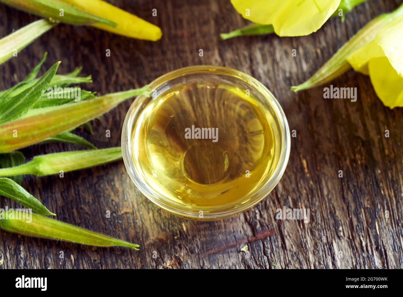 Eine Schüssel Nachtkerzenöl - natürliches pflanzliches Heilmittel Stockfoto