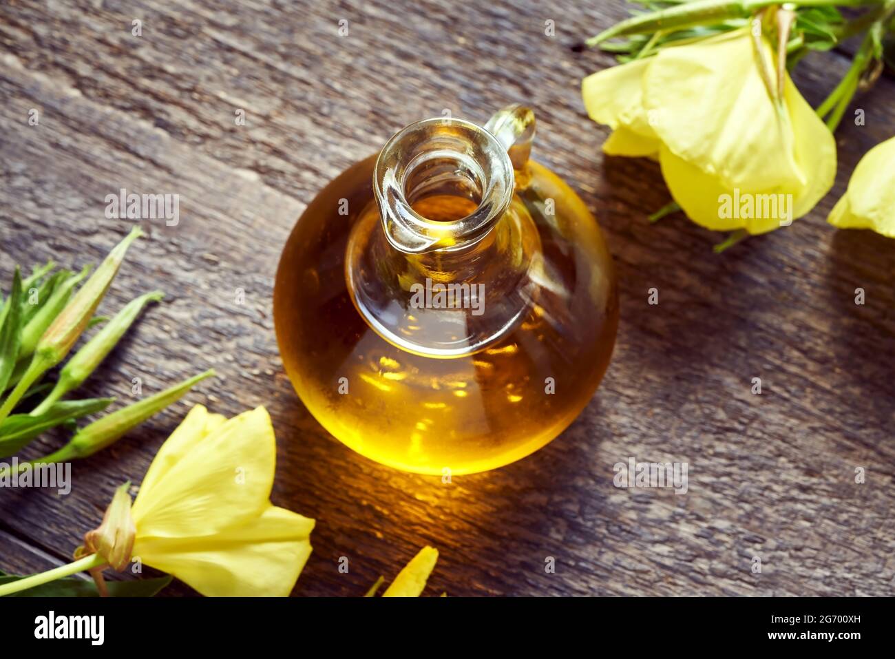Eine Flasche Nachtkerzenöl mit frisch blühender Pflanze - alternativ pflanzliches Heilmittel Stockfoto