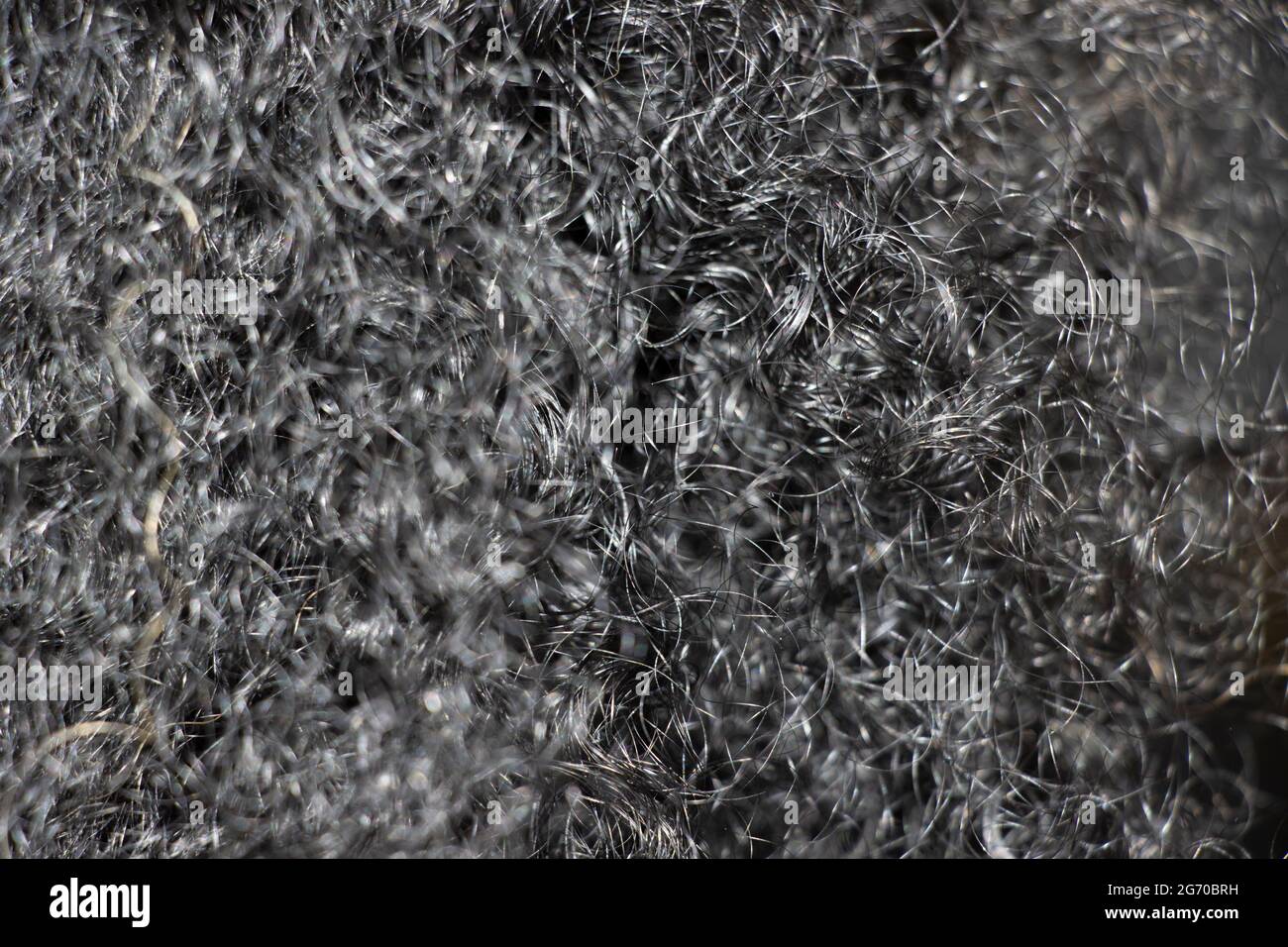 Schwarzer Frühling Stil Haarhintergrund. Selektiver Fokus Stockfoto