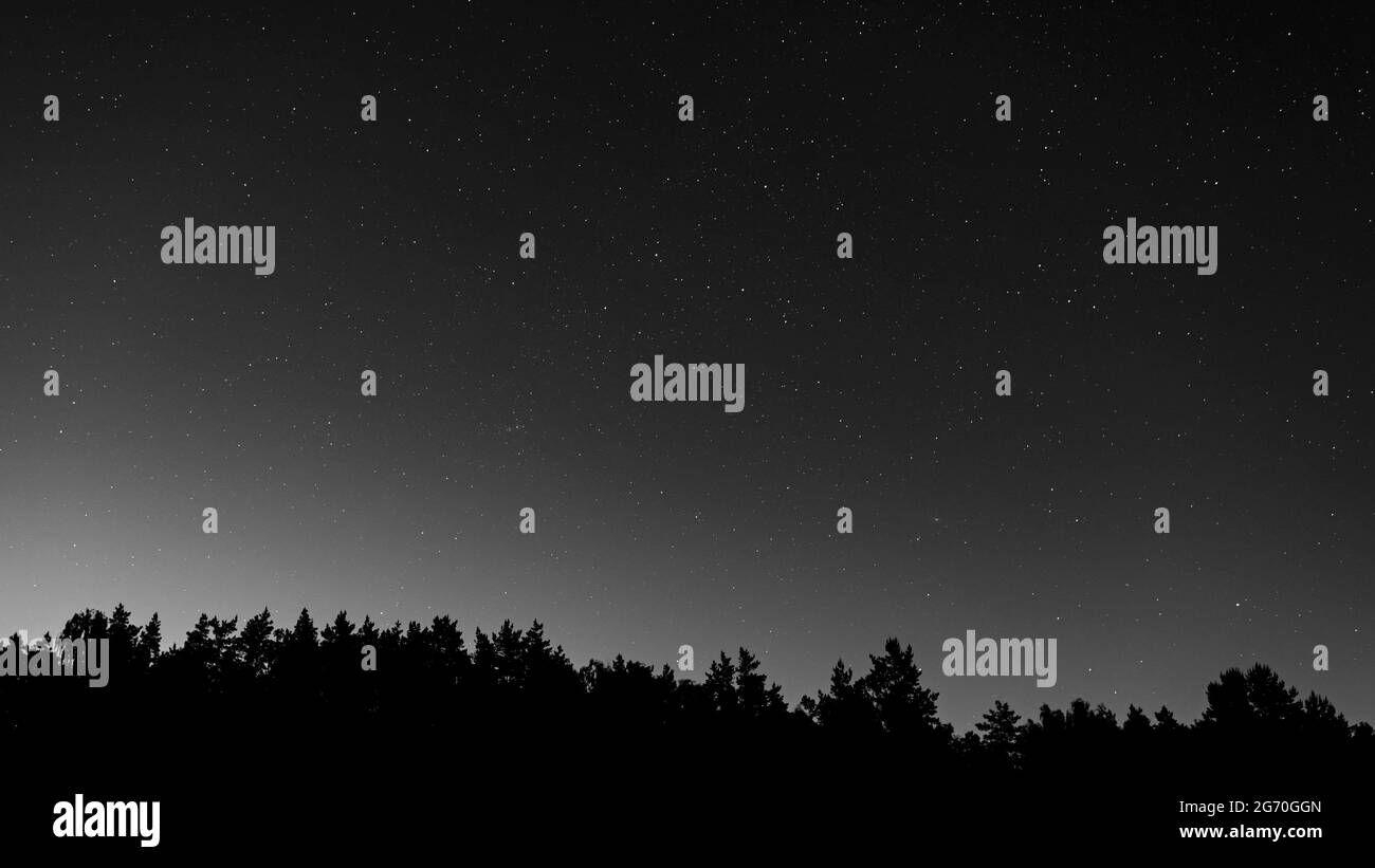 Der Sternenhimmel über der Silhouette des Waldes. Die Andromeda-Galaxie, die Konstellationen der Giraffe, Cassiopeia Stockfoto