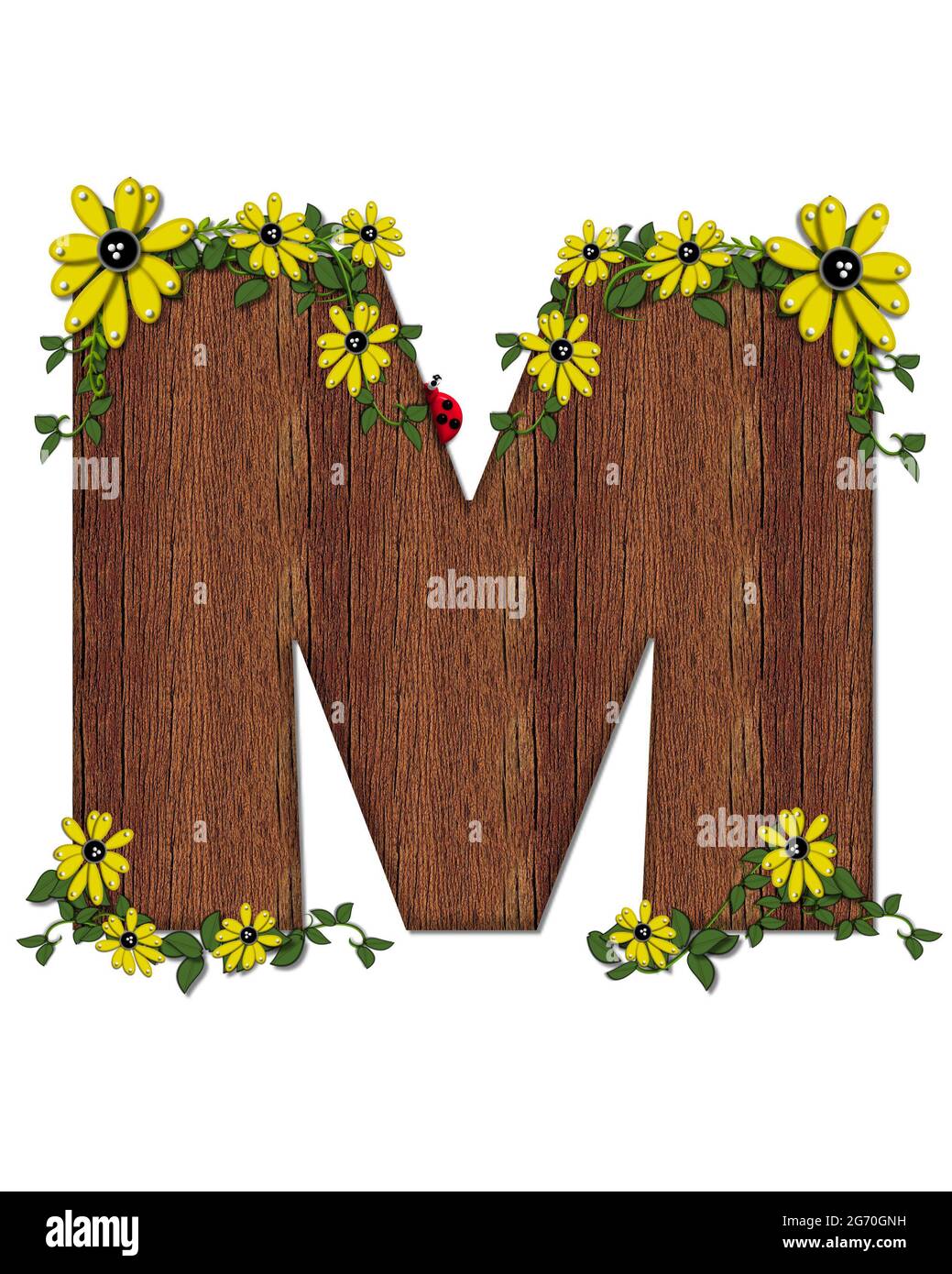 Der Buchstabe M, im Alphabet-Set 'Marienkäfer und Sonnenblume', ist mit Holztextur gefüllt. Marienkäfer, Sonnenblumen und Reben schmücken Brief. Stockfoto