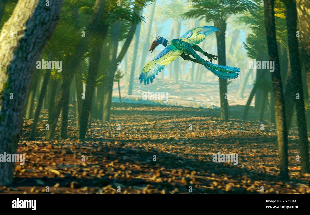 Kunstwerk von Archaeopteryx im Flug Stockfoto