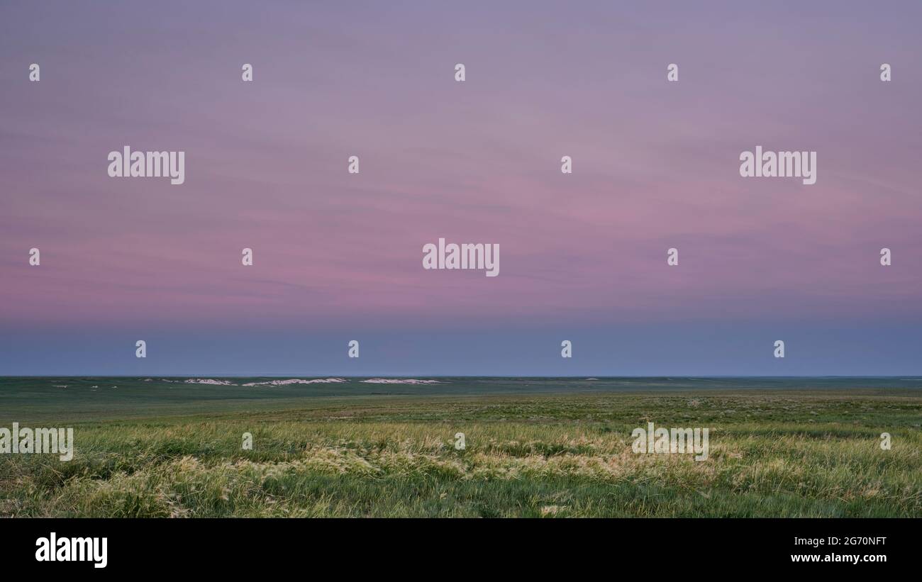 Abenddämmerung über grüner windiger Prärie - Pawnee National Grassland in Colorado, Frühsommerlandschaft Stockfoto