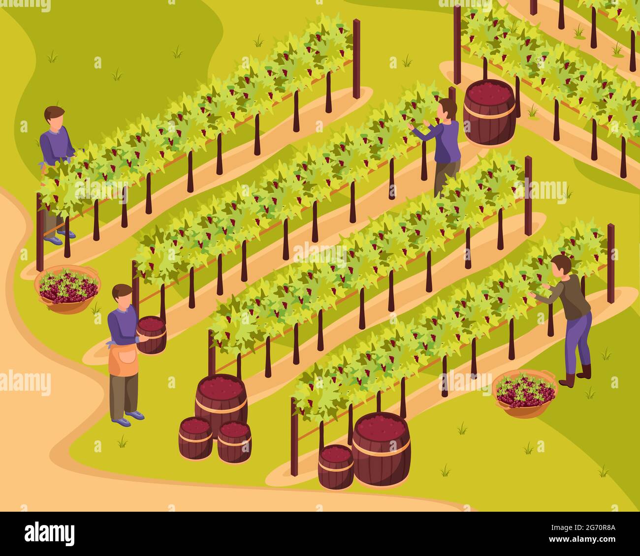 Hintergrund der Weinproduktion mit isometrischen Vektor-Illustration der Symbole für Ernte und Weinberg Stock Vektor