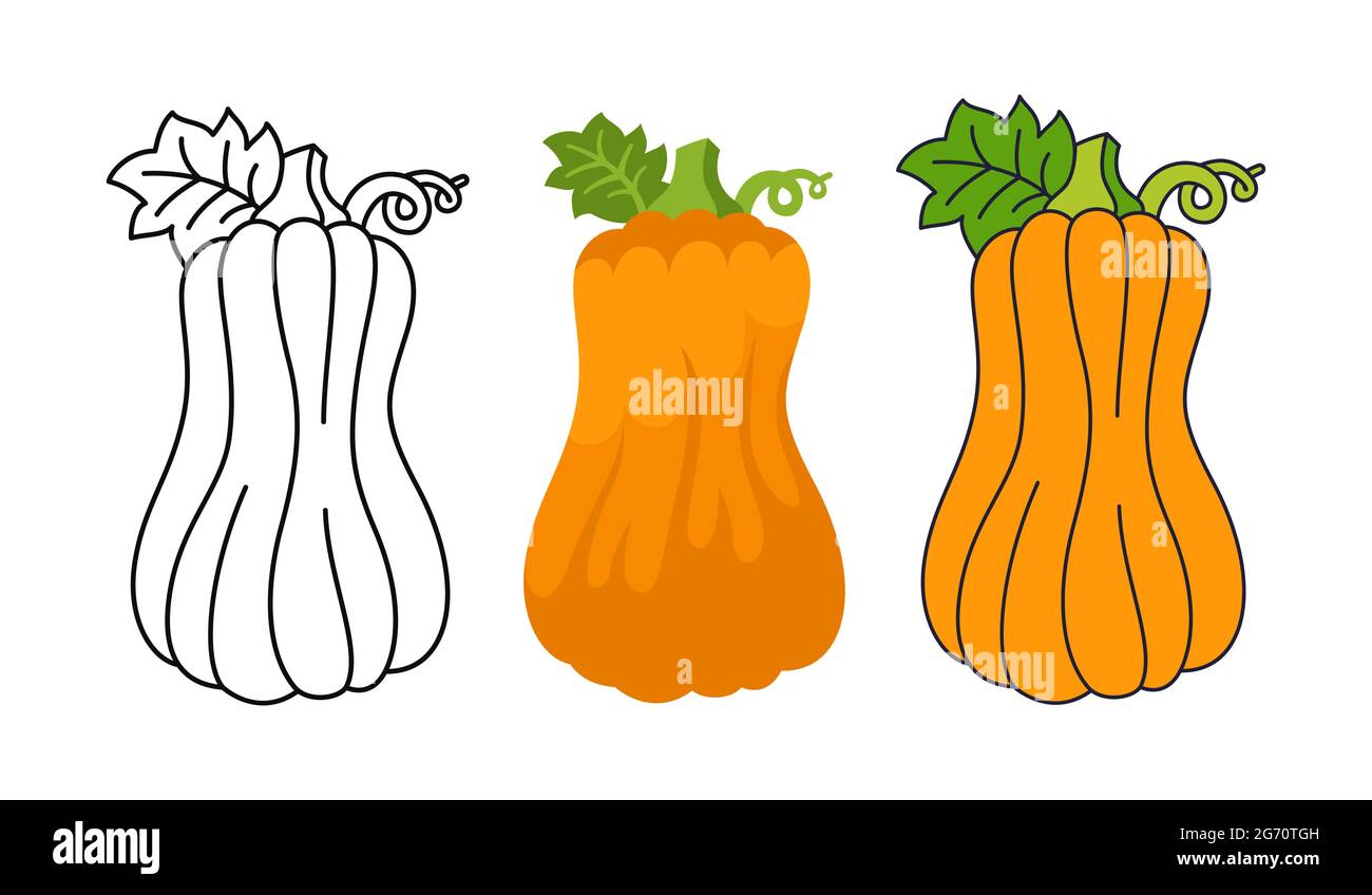 Kürbis flache Cartoon-Set-Linie Symbol, schwarz Doodle-Stil. Reife ganze Butternusskürbisse. Halloween oder Erntedankfest Symbol Ernte. Comic Landwirtschaft handgezeichnete Gemüse Symbol Vektor Stock Vektor