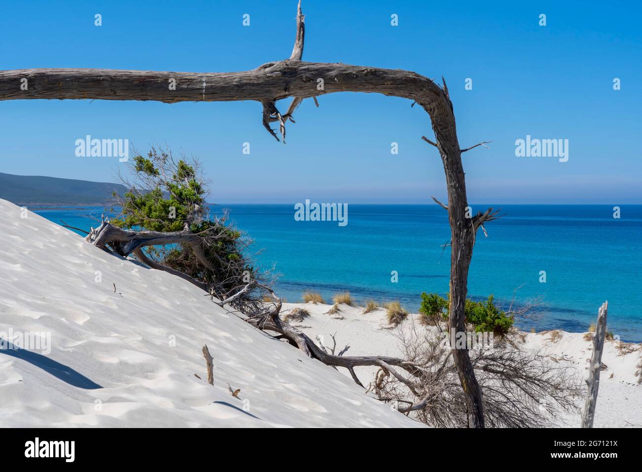 Die wunderschönen weißen Sanddünen von Porto Pino auf Sardinien, Italien. Wilde und unbelastete Umwelt. Touristenziel. Wunder der Natur Stockfoto