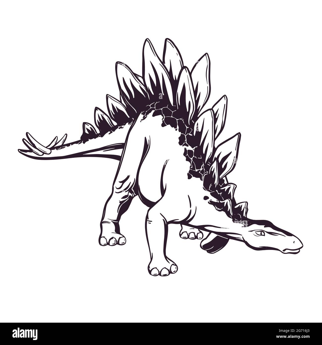 Isoliert auf weißer Zeichnung eines Stegosaurus im Comic-Stil. Handzeichnung. Für Design, Tattoo, T-Shirt-Druck, Logo. Vektorgrafik. Stock Vektor