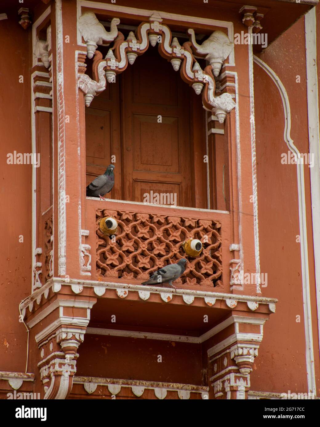 Pegionen im qutub Minar Stockfoto