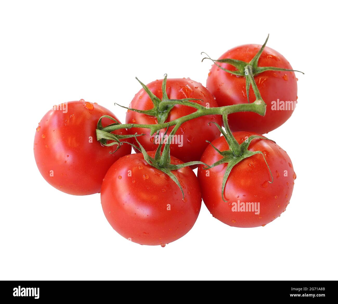 Ein paar Tomaten isoliert auf weißem Hintergrund. Tomate Clipping Path. Isolierte Tomate mit Wassertröpfchen darauf Stockfoto