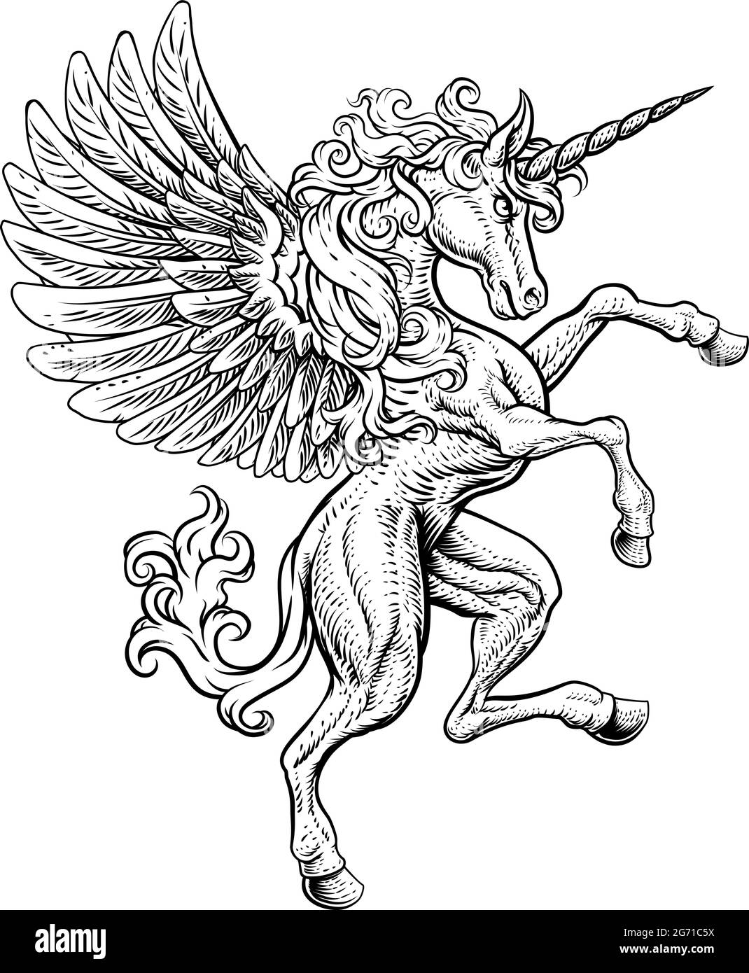 Pegasus Einhorn Aufzucht Grassierende Crest Wings Horse Stock Vektor