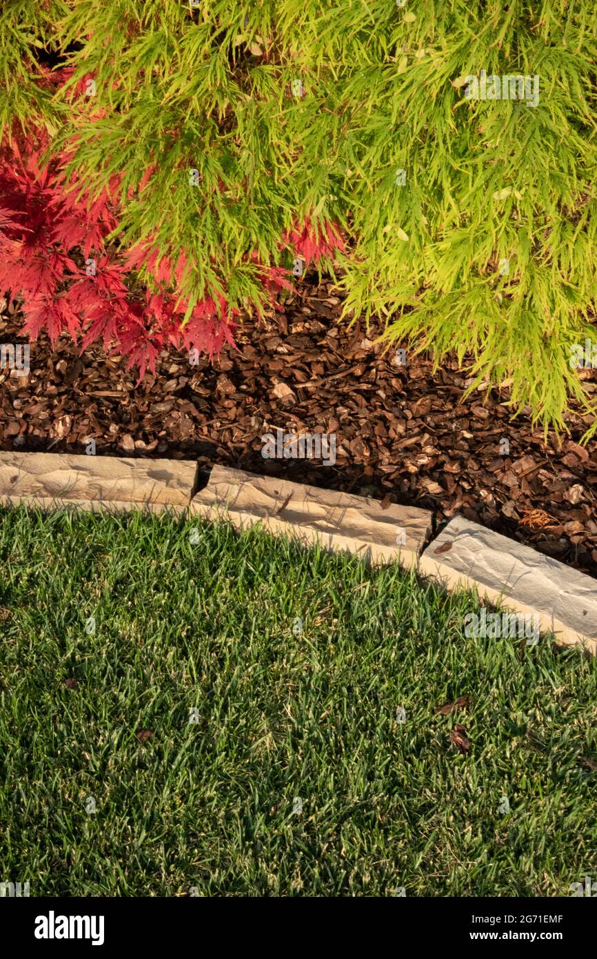 Gartendesign Detail mit Gras und japanischem Ahorn, Erde und Steinen, Parma Italien Stockfoto