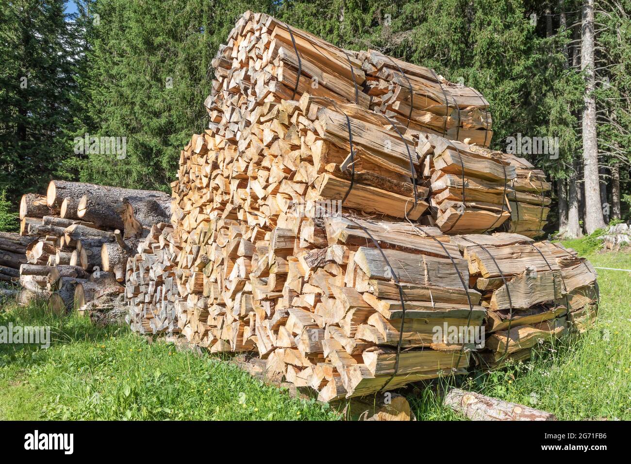 Gestapelte Pakete mit Brennholz im Wald Stockfoto
