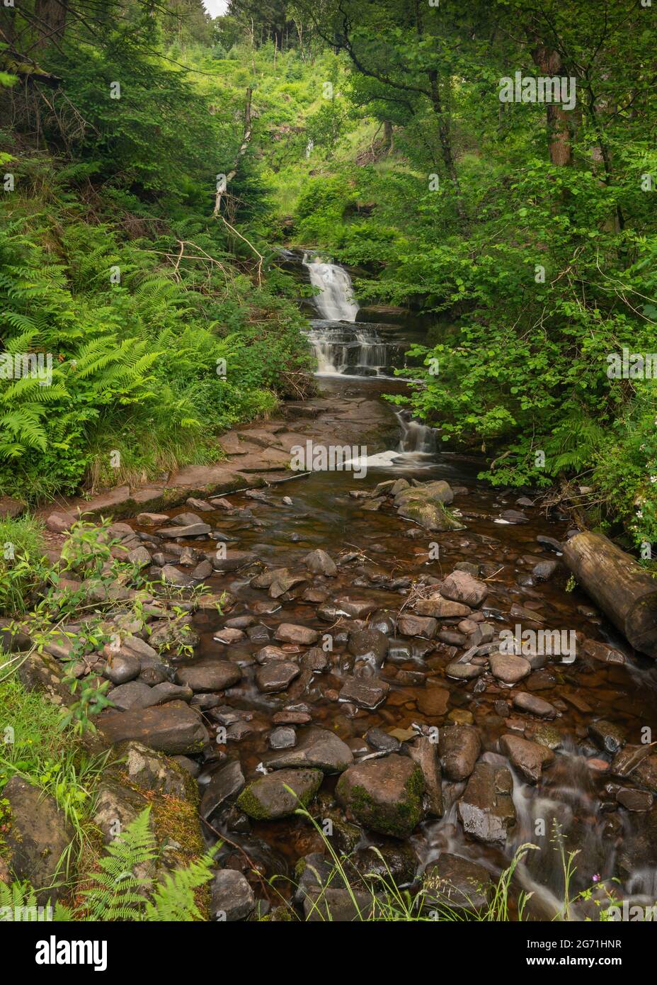 Natürliche wunderschöne Wasserfälle, die mit langer Exposition aufgenommen wurden, um das Wasser im Brecon Beacons National Park seidig glatt zu machen. Stockfoto