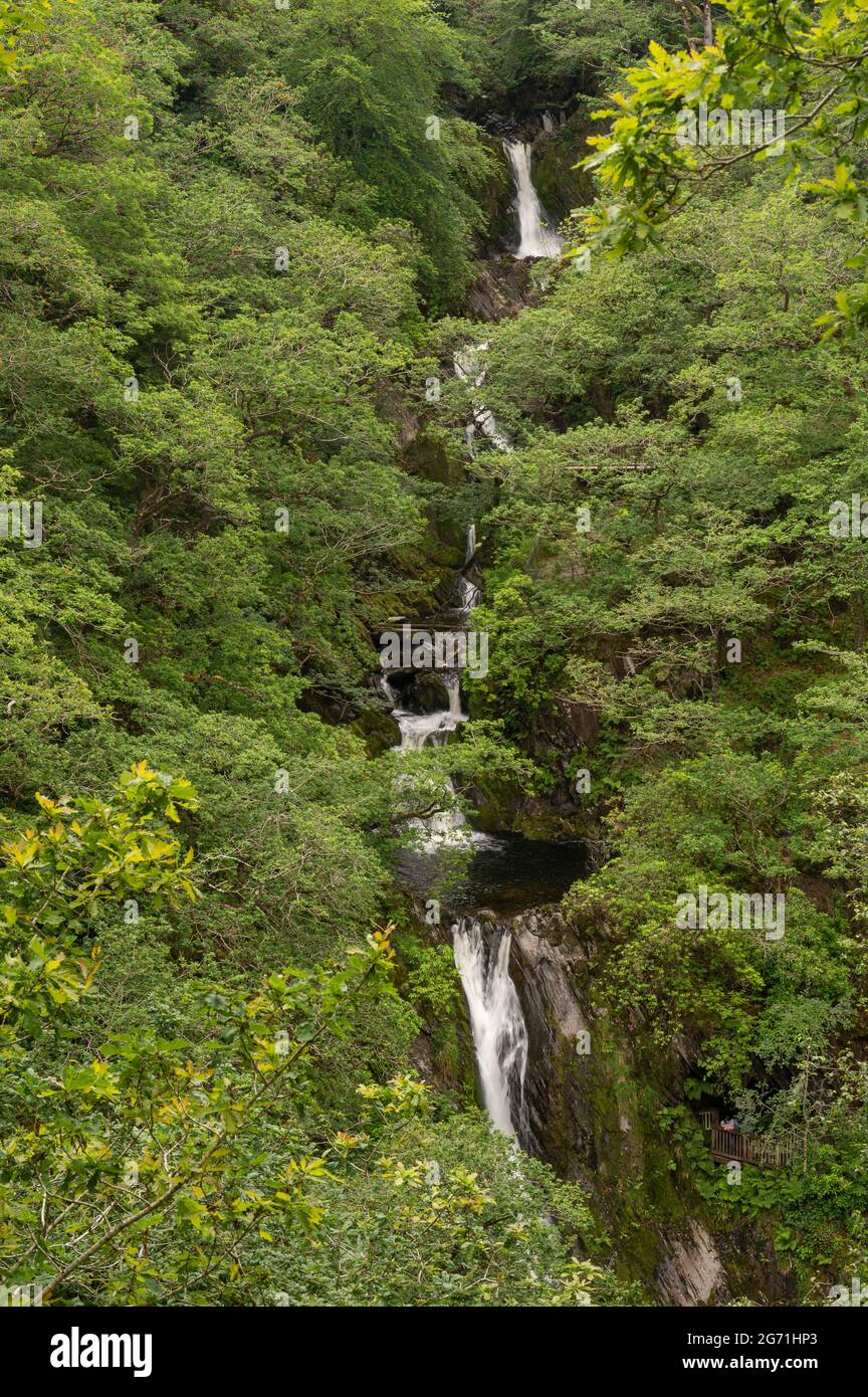 Natürliche schöne Wasserfälle mit langer Exposition genommen, um das Wasser seidig glatt zu machen Stockfoto