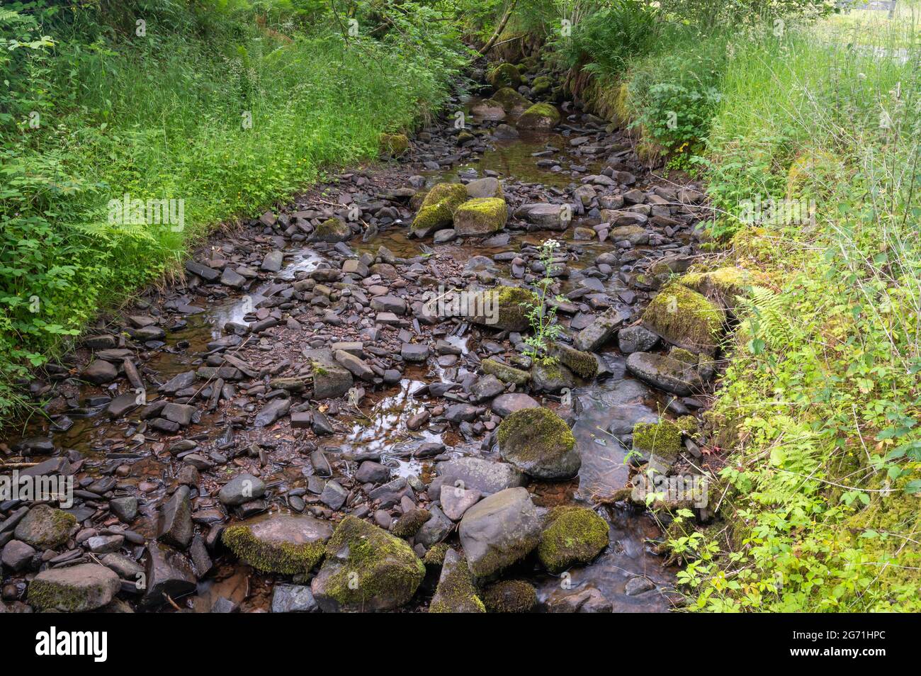 Ein Blick auf einen Bach mit sehr niedrigem Wasser mit Felsen und Felsbrocken und Grün an den Ufern Stockfoto