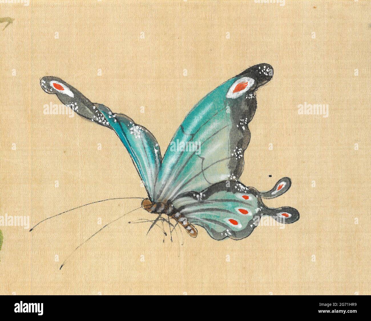 Blauer Pfauenschmetterling im Flug, chinesische Malerei auf Seide. Stockfoto