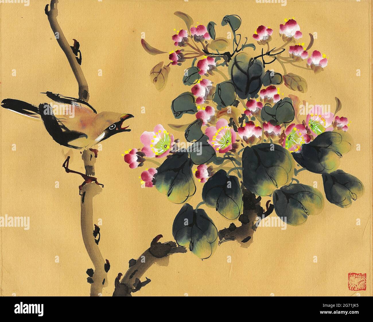 Chinesische Malerei, Vogel und Blumen, Singing jay Vogel auf Zweig mit prunusblüte, auf Seide. Stockfoto
