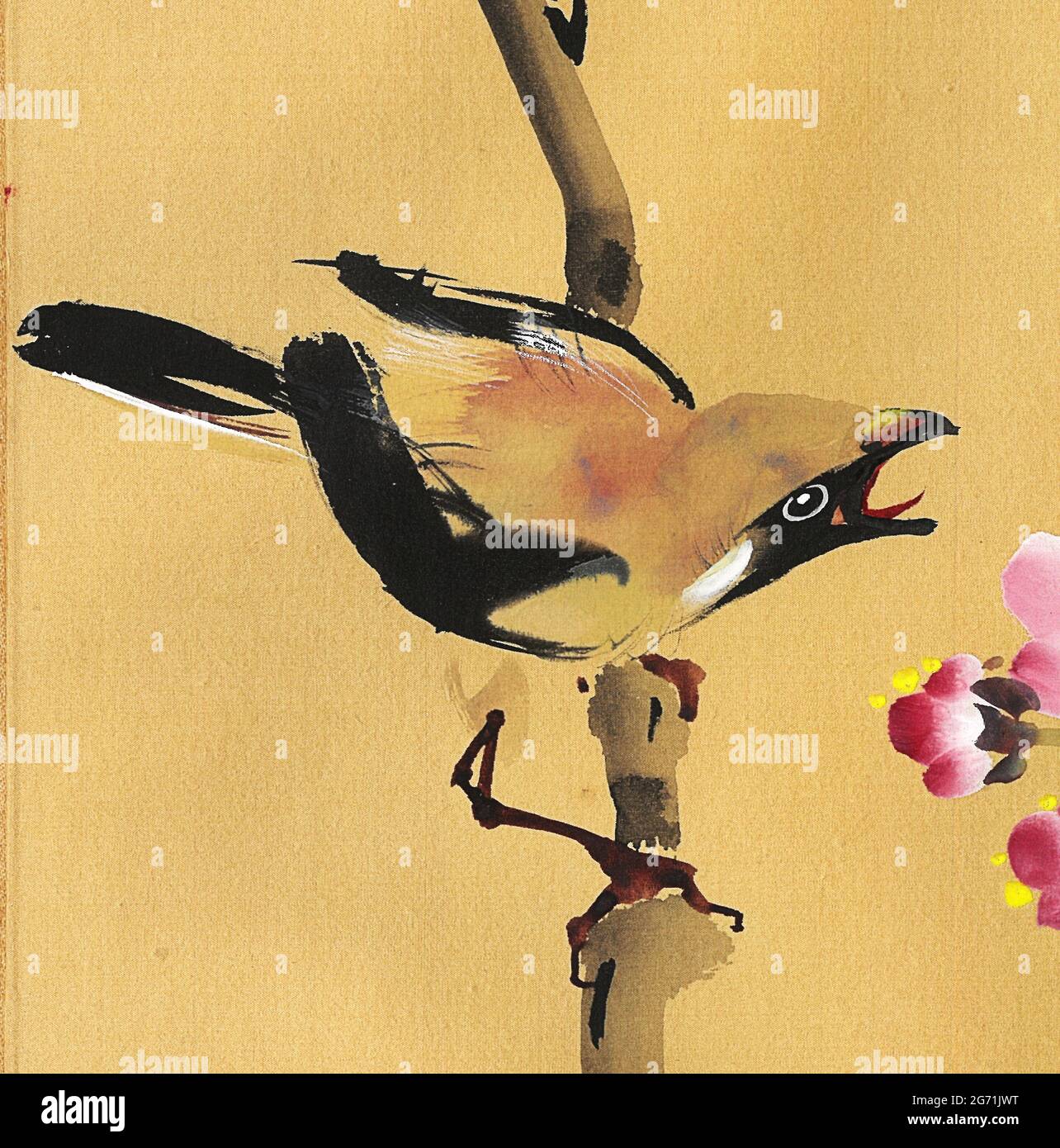 Eurasischer Eichelhäher auf dem zweig des prunus, chinesisches Originalgemälde auf Seide. Vögel und Blumen. Stockfoto