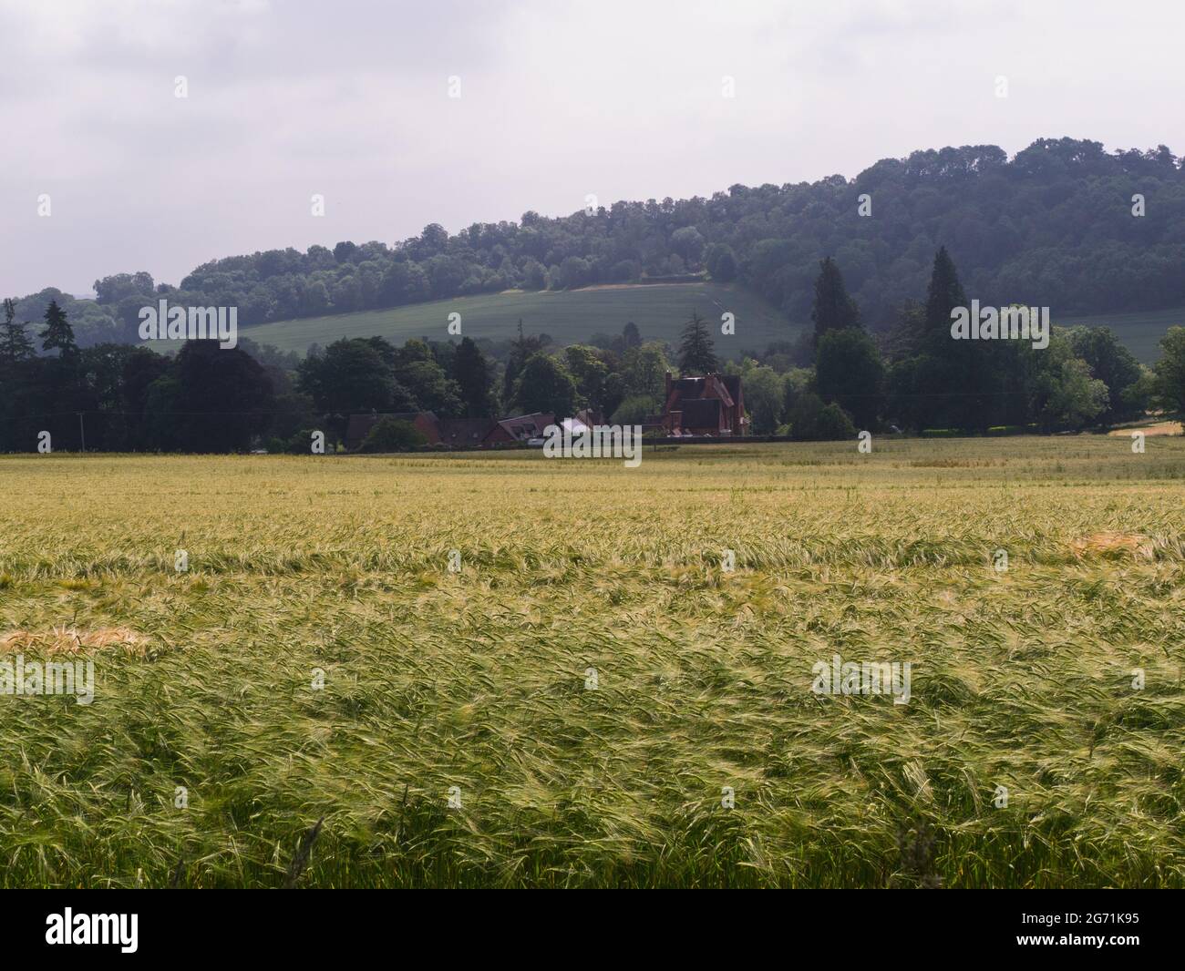 Blick über ein Gerstenfeld auf eine Shropshire Farm vom Jack Mytton Way auf dem Wenlock Edge in Shropshire Hills AONB Shropshire UK Stockfoto