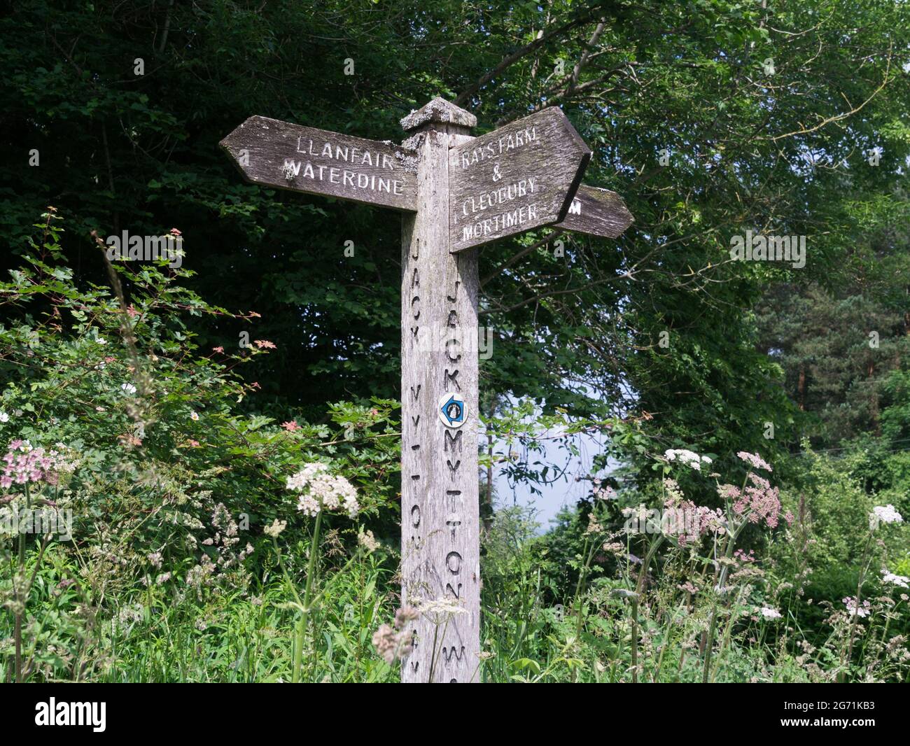 Holzschild auf dem Jack Mytton Way am Wenlock Edge in Shropshire Hills AONB Shropshire England Stockfoto