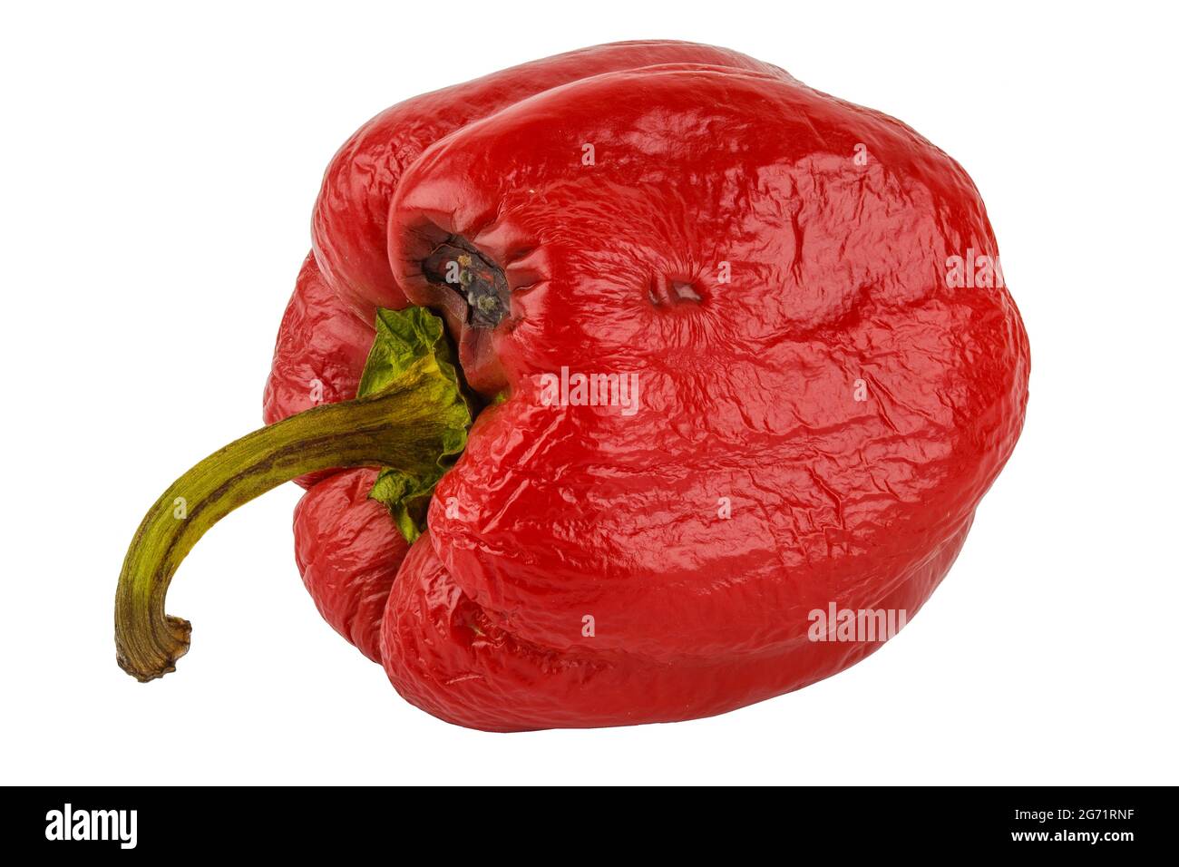 Verrottete rote Paprika isoliert auf weißem Hintergrund. Stockfoto