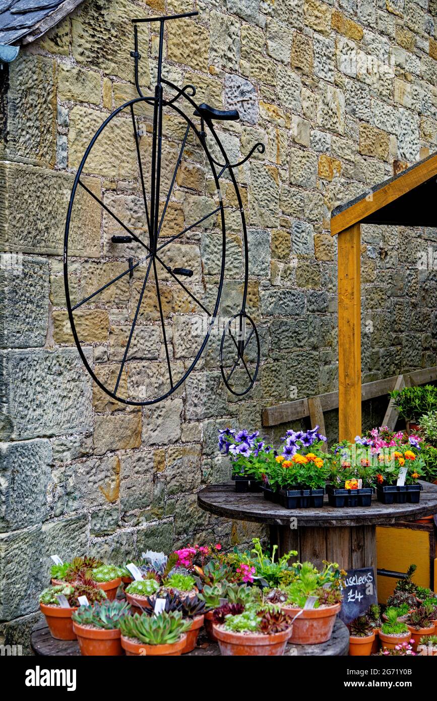 Schöne Vintage-Ausstellung mit Blumen und gealterten Fahrrad im Dorf Ford und etal in der Grafschaft Northumberland - England - Vereinigtes Königreich Stockfoto