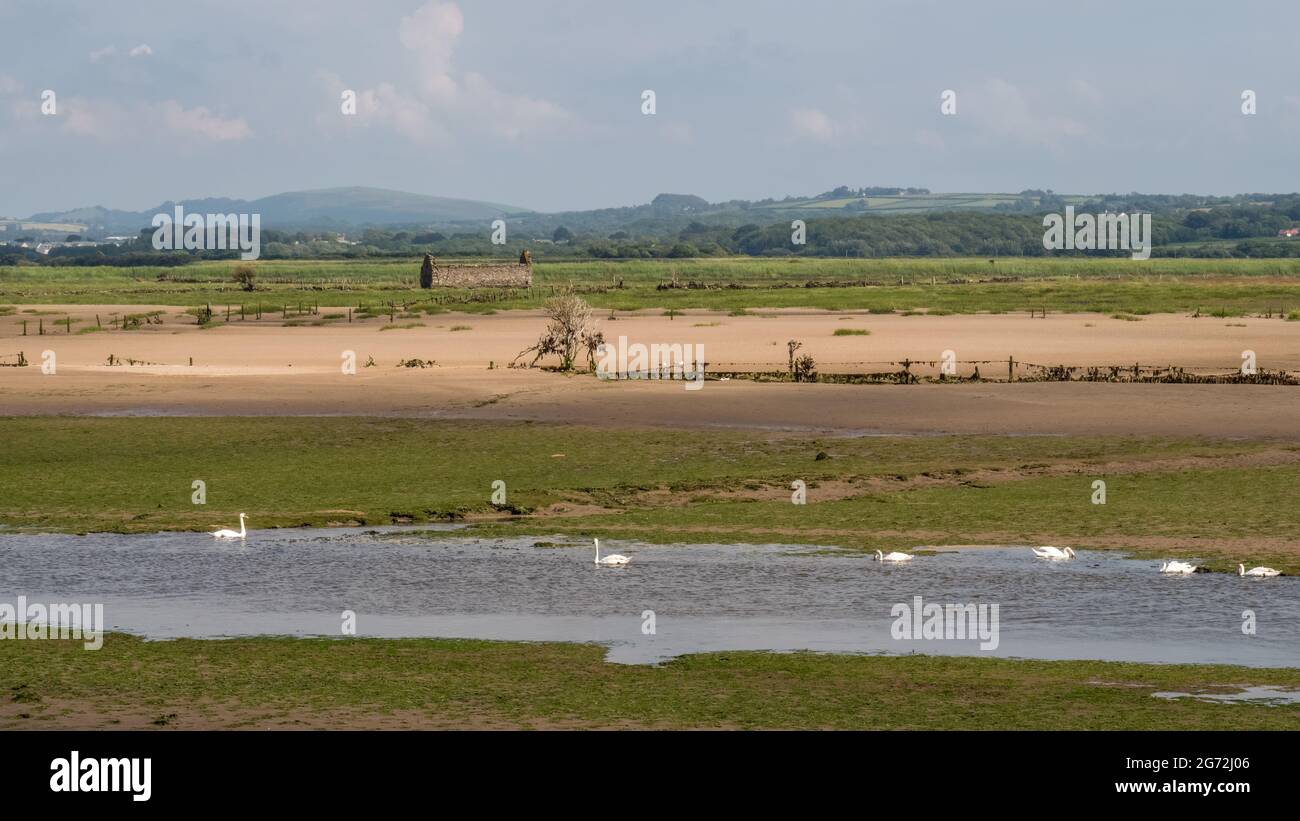 Blick über Horsey Island, Braunton Marsh, Devon, Großbritannien bei Ebbe, Foto aufgenommen vom South West Coastal Path. Stockfoto