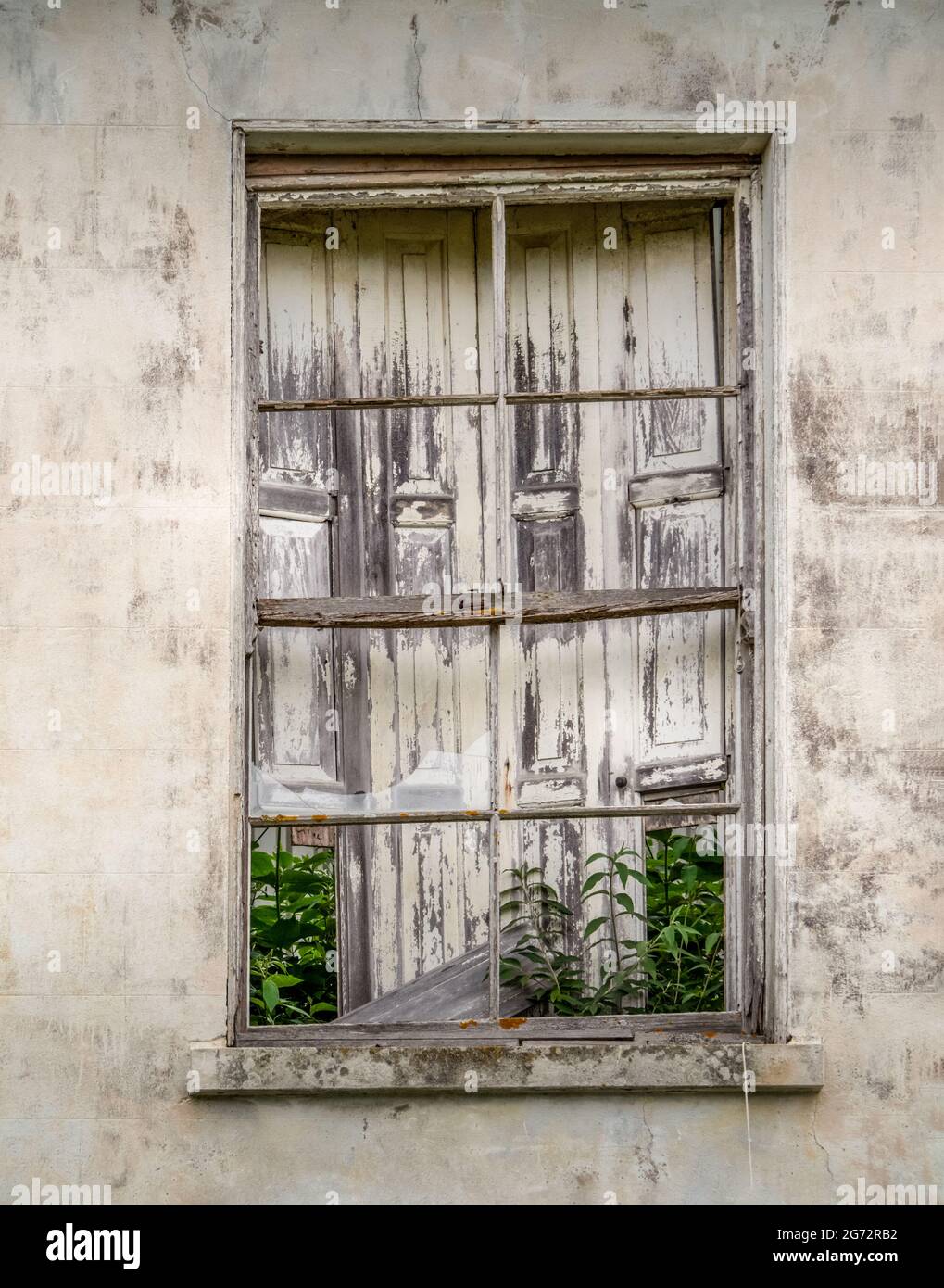 Altes Fenster, kein Glas, kaputte Holzläden in schmutziger, vernachlässigter weißer Wand. Stockfoto