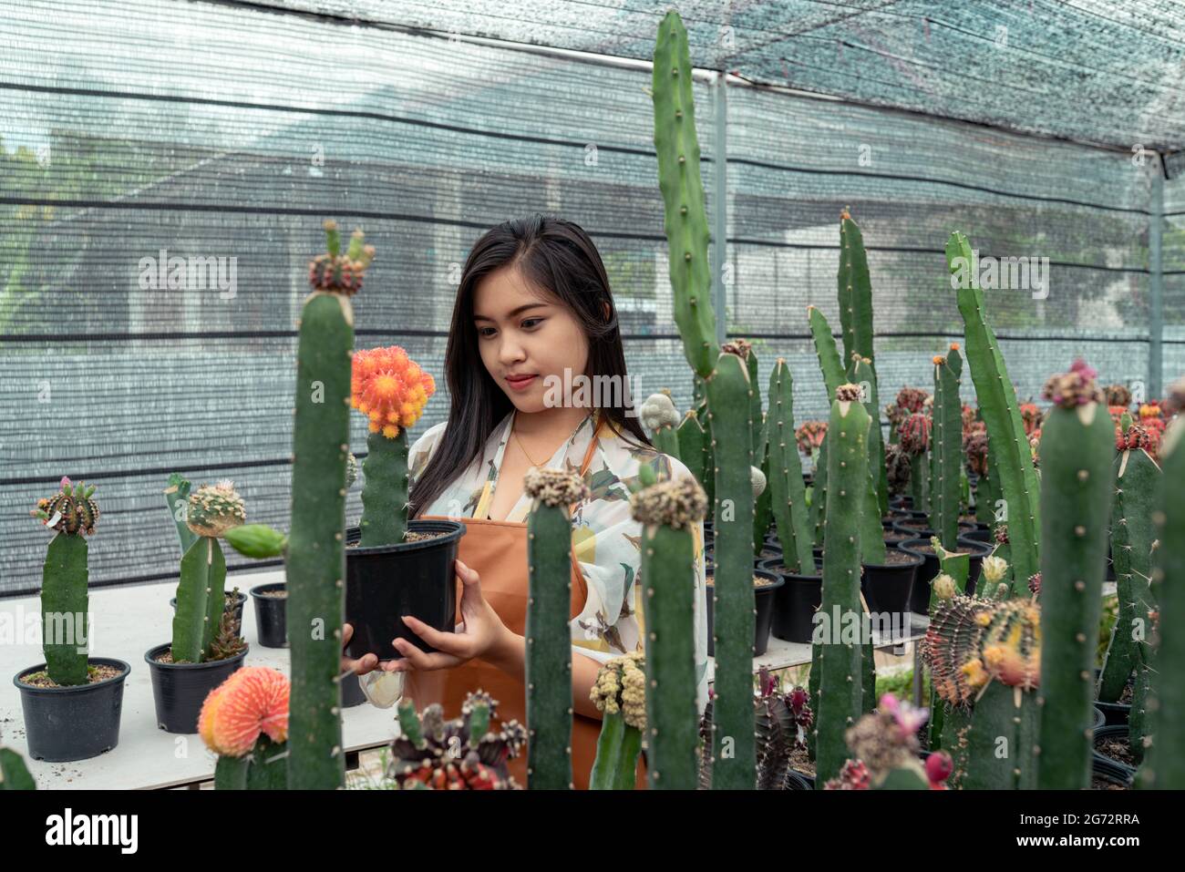 Asiatische junge Frau fröhlich mit dem Kaktus in der Gewächshausfarm Stockfoto