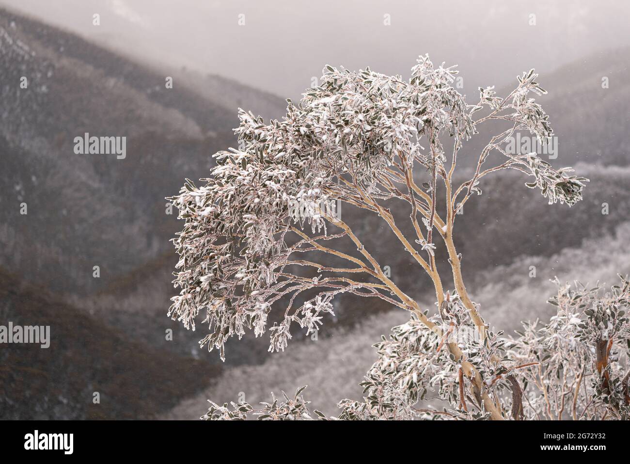 Wunderschöne Landschaft von Mount Hotham, Victoria, Australien Stockfoto