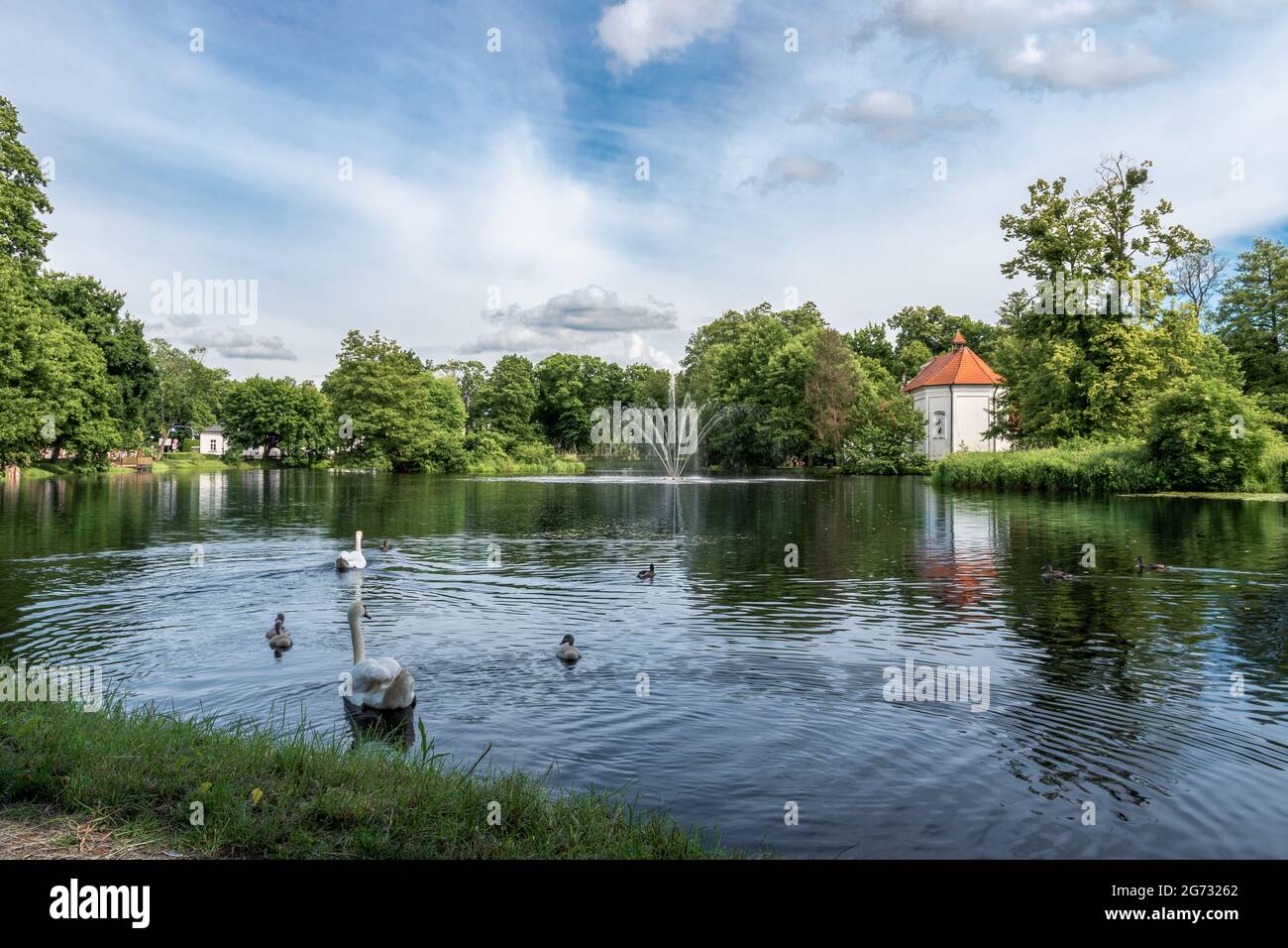 Schöne Aussicht auf Teich in Zwierzyniec, Roztocze, Polen. Park und berühmte St. John's of Nepomuk Kirche auf der Insel im Hintergrund. Gruppe der Schwäne i Stockfoto