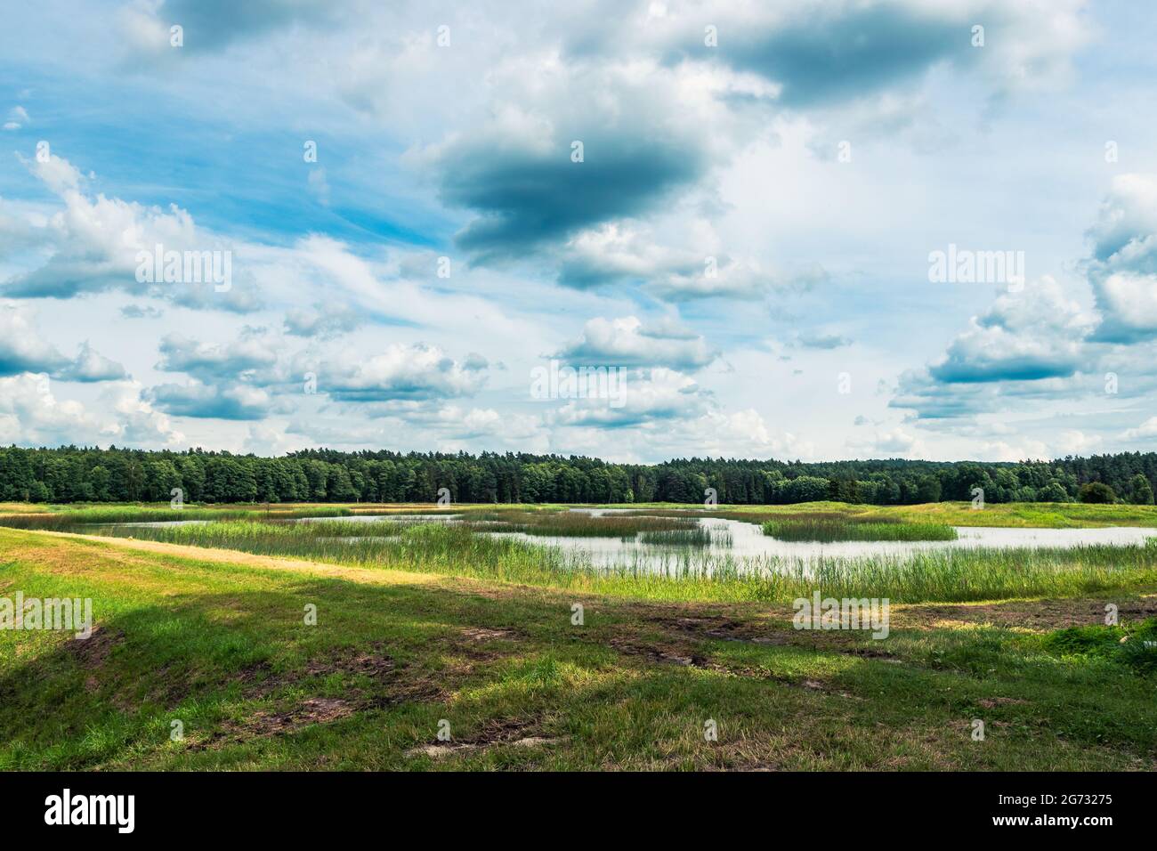 Schöne Aussicht auf den Echo-See, Zwierzyniec, Lubelskie, Polen. Panoramabild von See, Wiese, Wald und bewölktem Himmel. Stockfoto