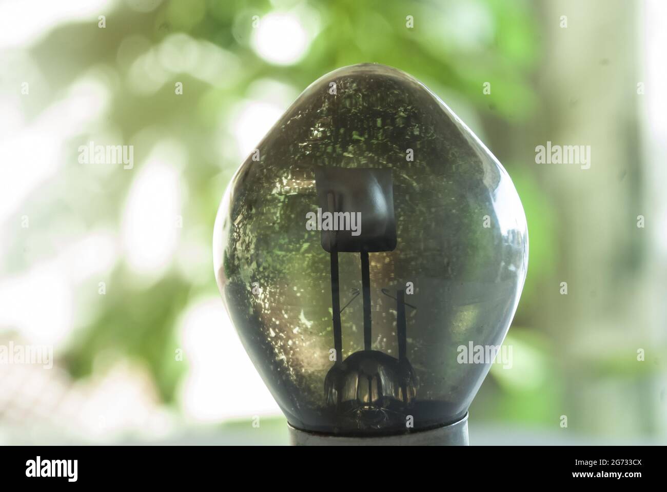 Aufrechte schmutzige staubige Makrobirne Nahaufnahme, unordentliches transparentes Glas, Tageslichtszene schöne Tapete Stockfoto