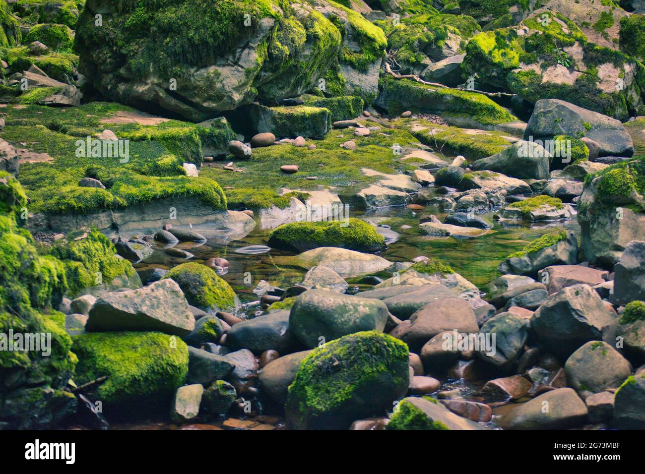 Felsen am Strand. Stockfoto