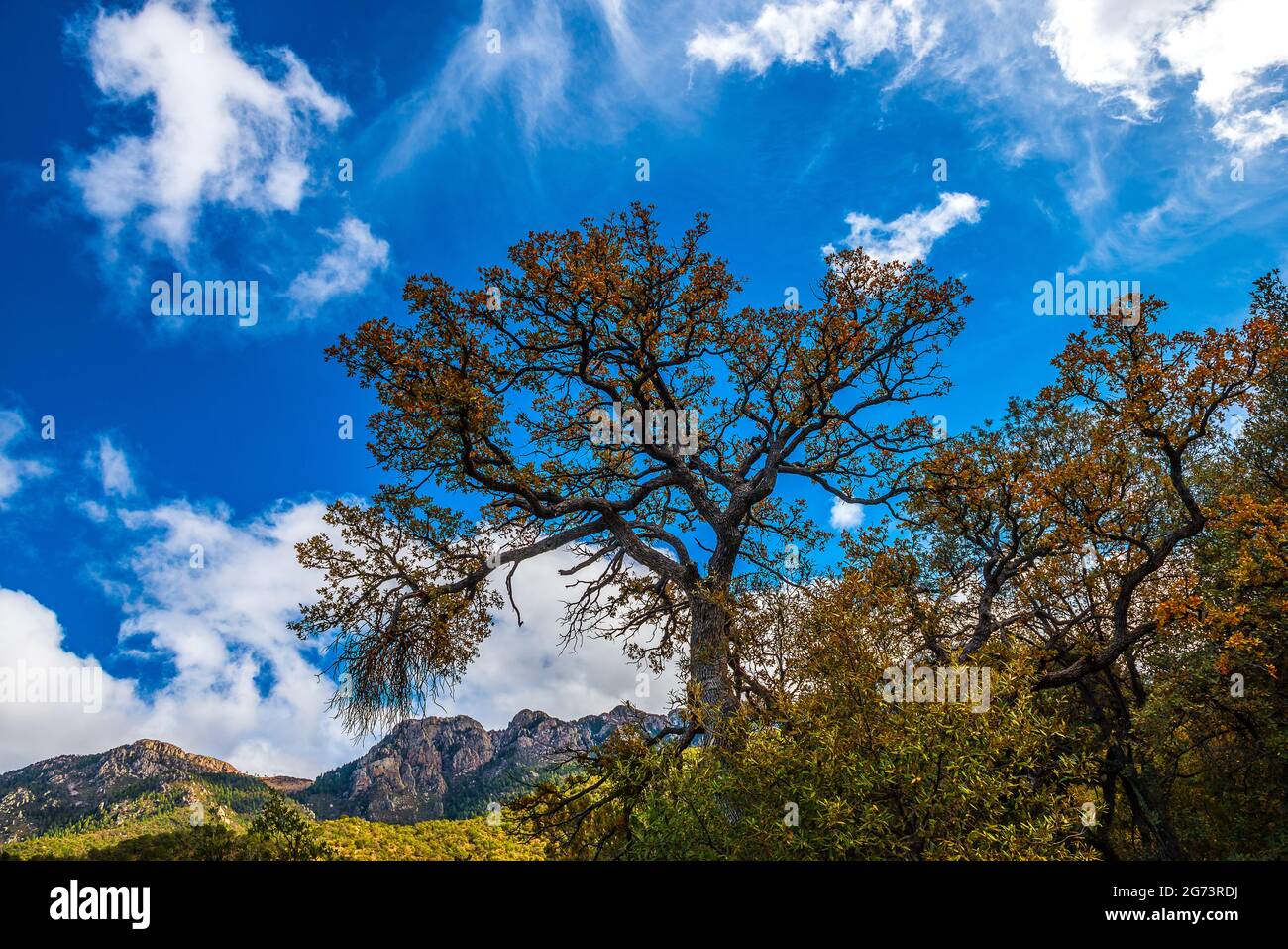 Arizona USA Stockfoto