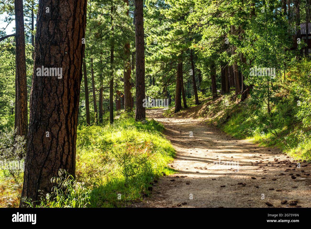 Arizona USA Stockfoto