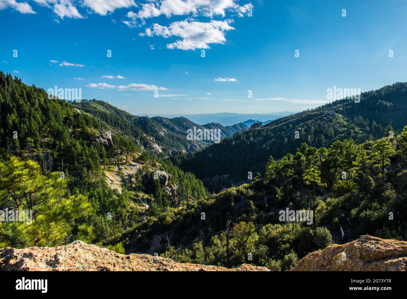 Arizona USA Stockfoto