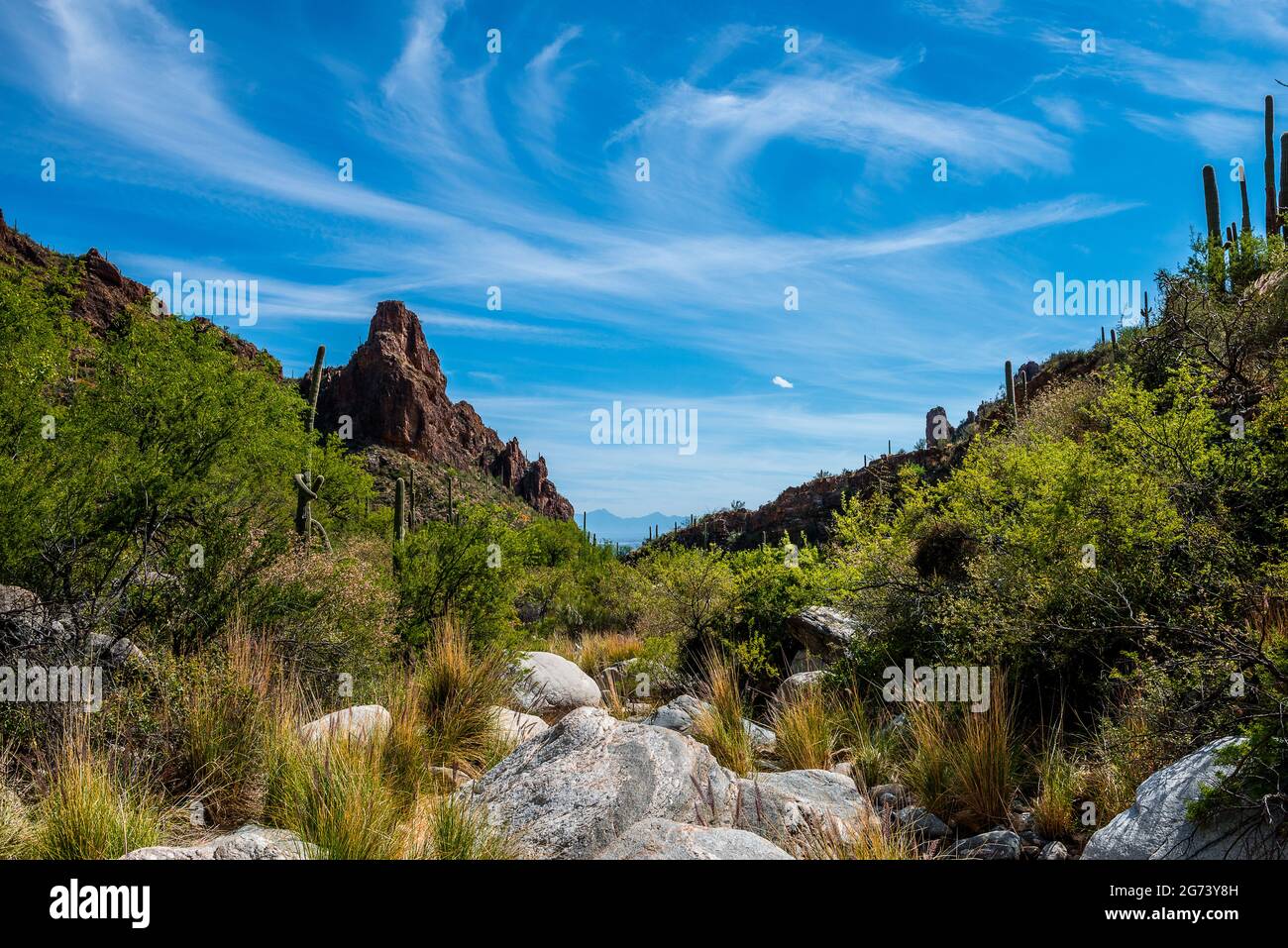 Arizona USA Stockfoto