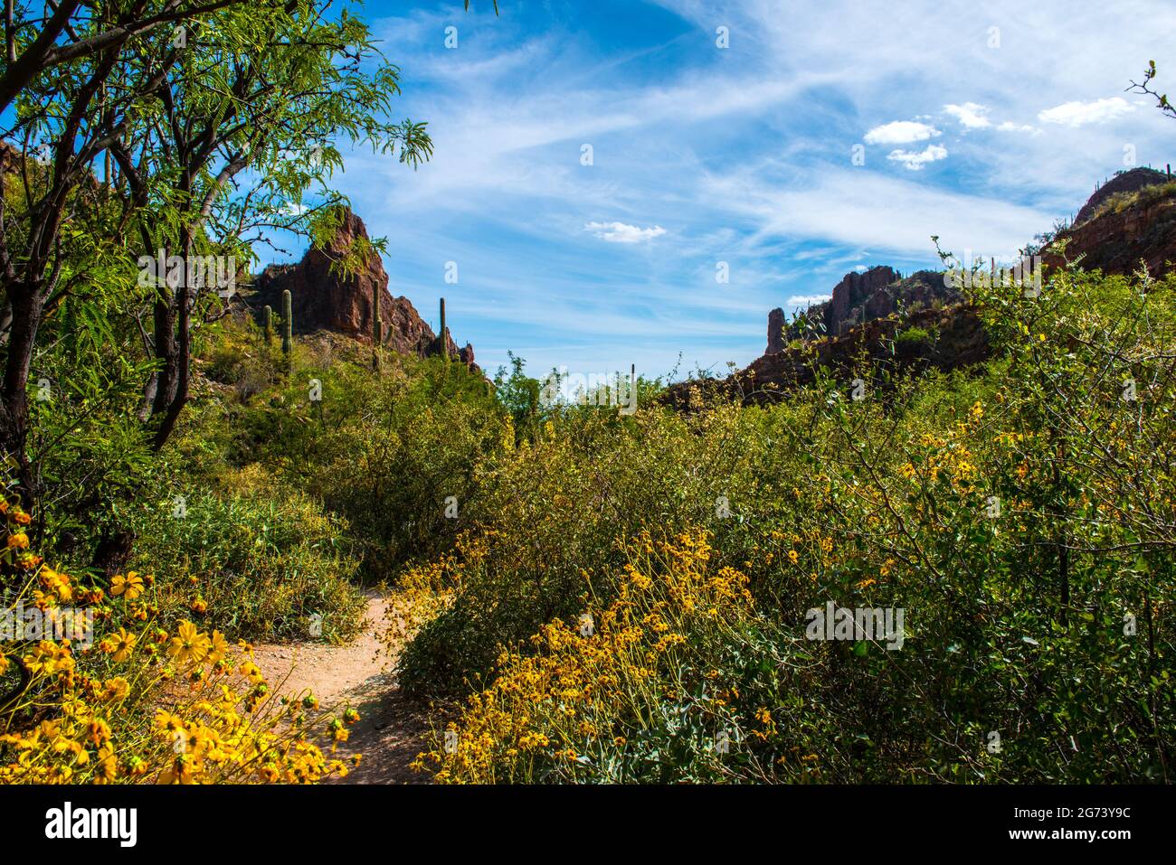 Arizona USA Stockfoto