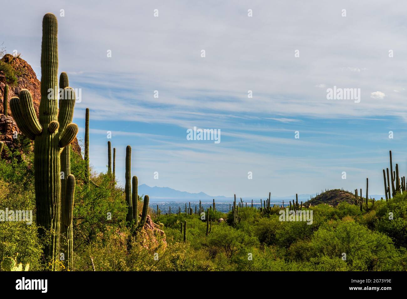 Arizona USA Stockfoto