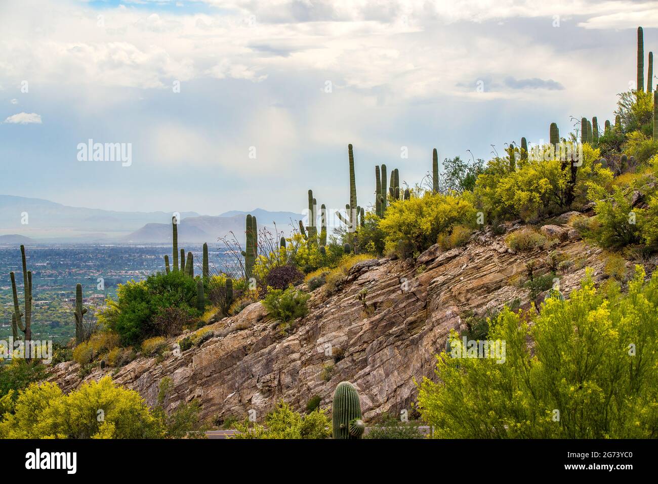 Arizona USA Stockfoto