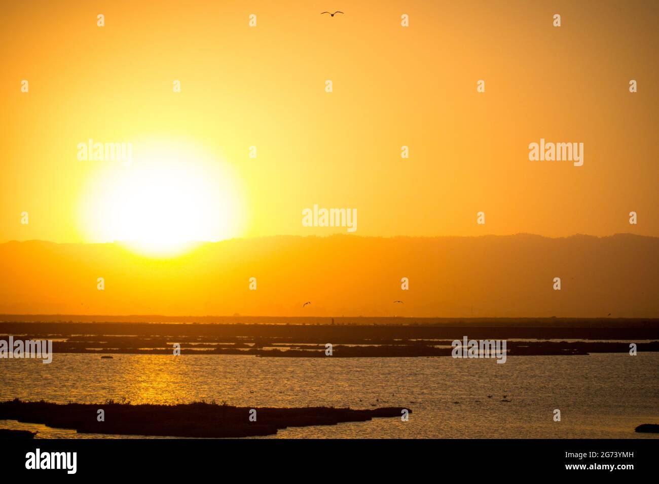 Sonnenuntergang hinter Bergen, über Feuchtgebieten. Große niedrige Sonne, orangefarbener Himmel, Silhouetten von Vögeln im Flug und von Inseln in den Maschen. Stockfoto