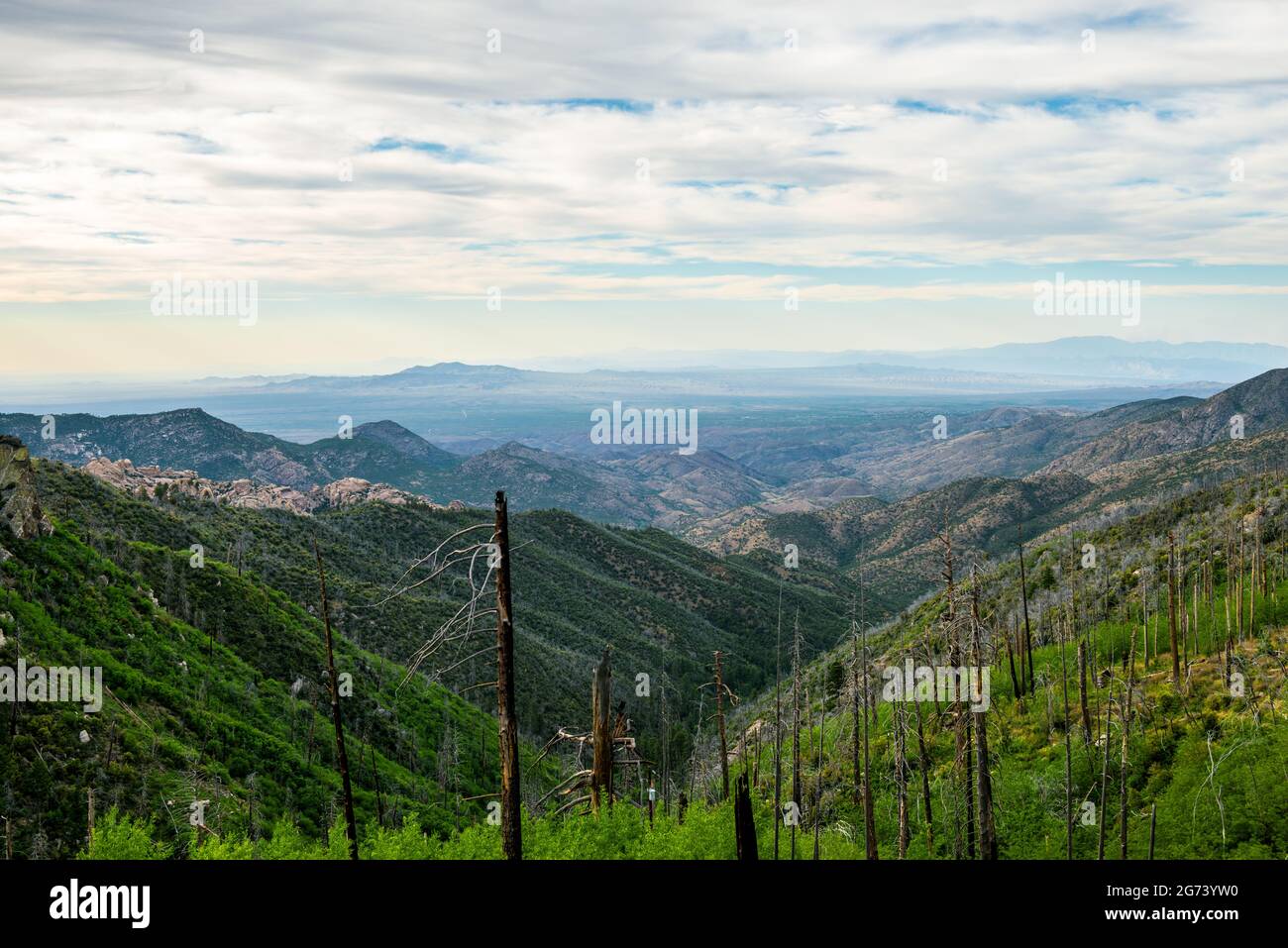 Arizona USA Stockfoto