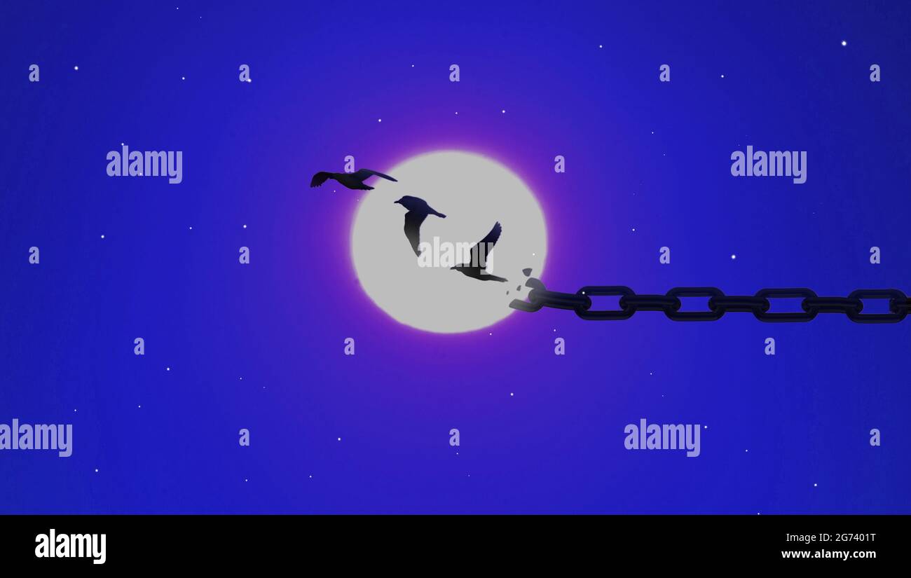 World Freedom Day Konzept: Vögel zerbrochene Ketten fliegen in der Nacht Vollmond mit Sternenhimmel Hintergrund. FREIHEIT Stockfoto