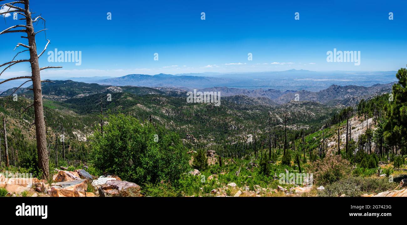 Arizona USA Stockfoto