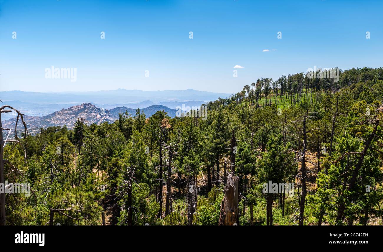 Arizona USA Stockfoto