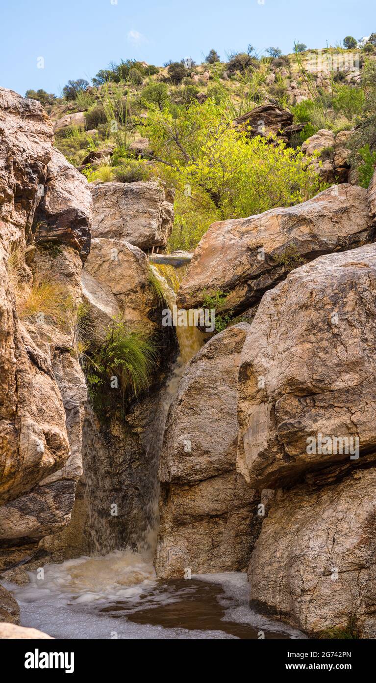 Arizona USA Stockfoto