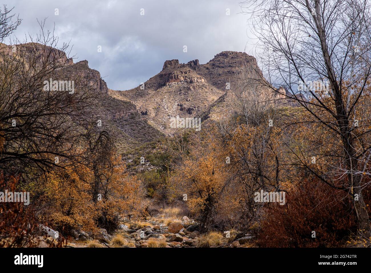 Arizona USA Stockfoto