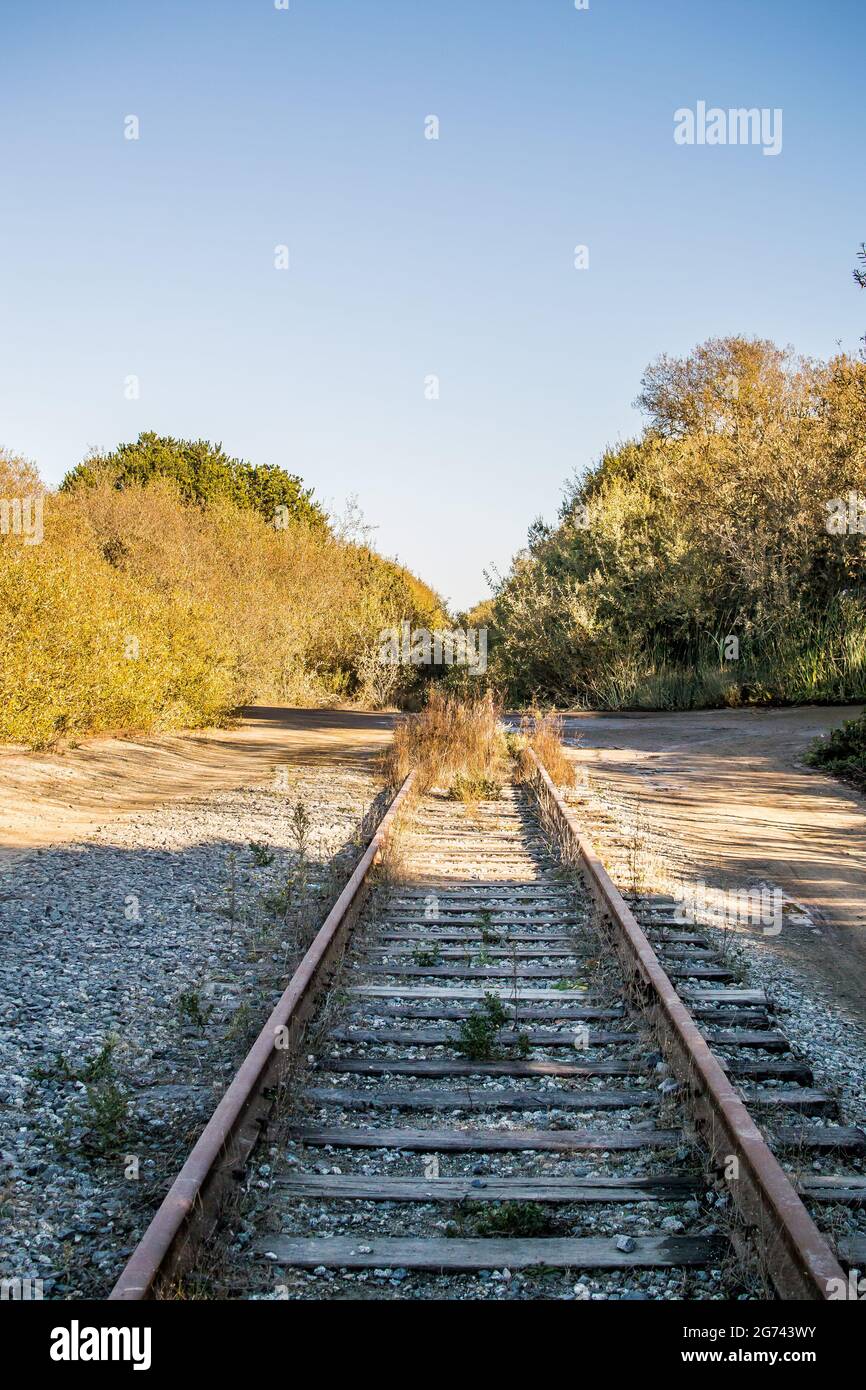 Verlassene Eisenbahnspur auf der Wilder Ranch, Santa Cruz, Kalifornien. Überwuchert, aber brauchbar parallele Spuren verschwinden in der Ferne. Stockfoto