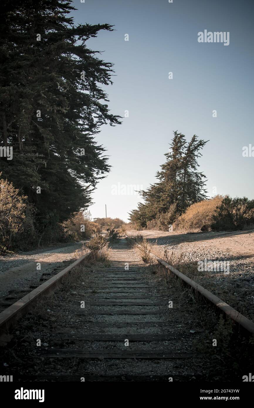 Verlassene Eisenbahnspur auf der Wilder Ranch, Santa Cruz, Kalifornien. Überwuchert, aber brauchbar parallele Spuren verschwinden in der Ferne. Stockfoto